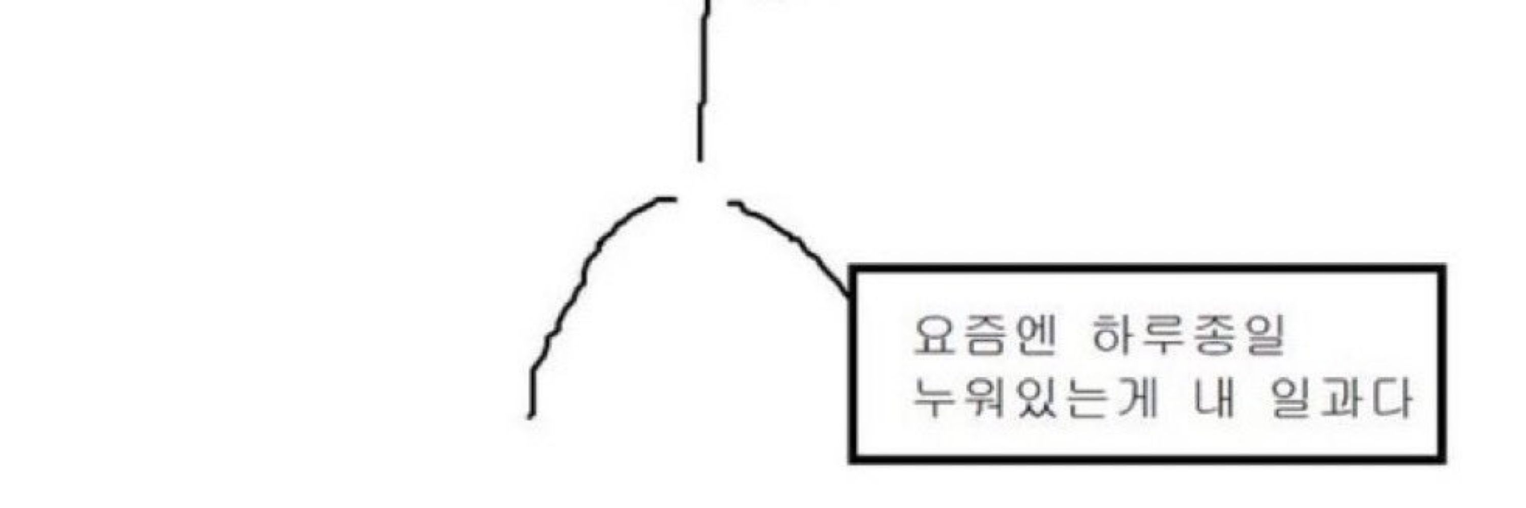 우리짱