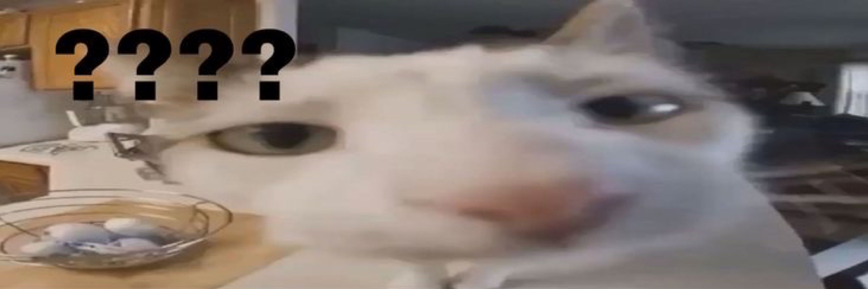 ㅤ