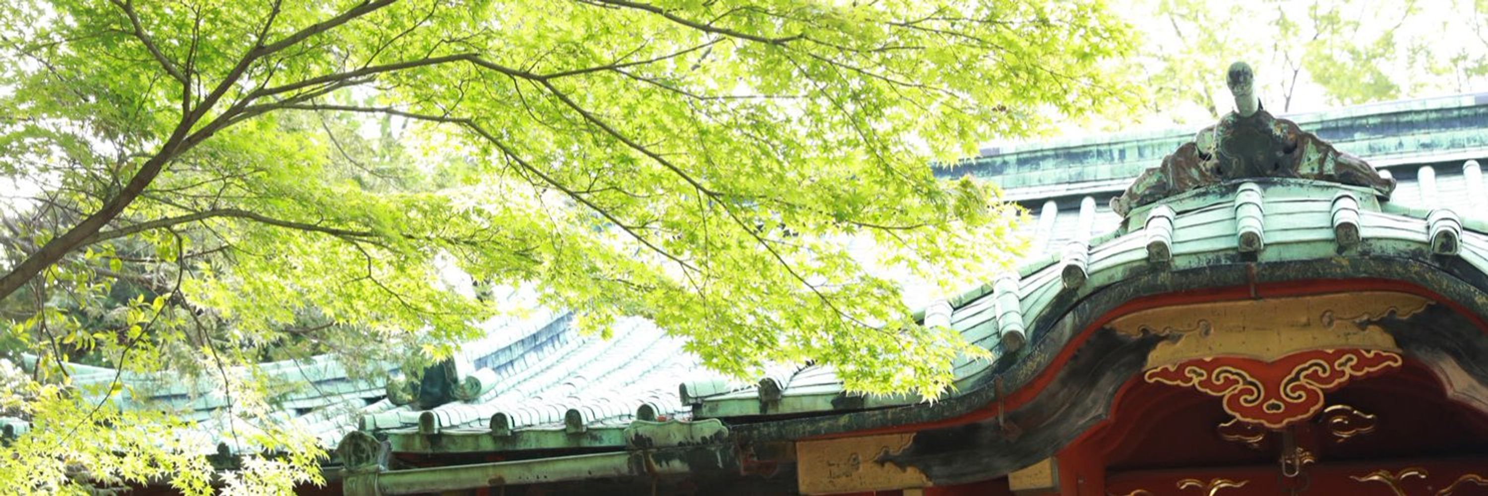 ศาลเจ้าอะคุเรียวโชบุง《悪霊処分神社》⛩️