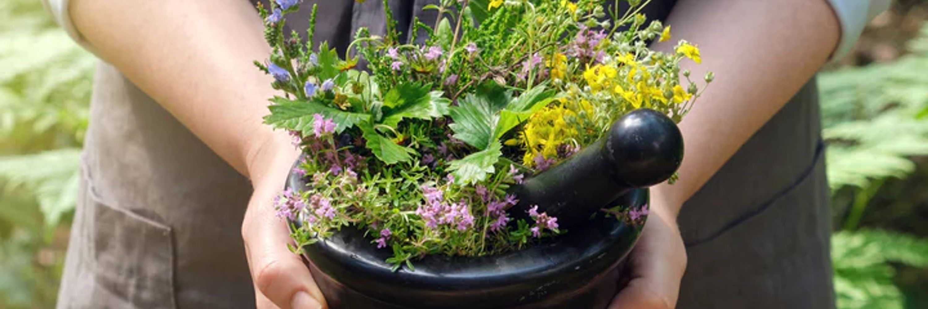 Gathering Thyme 