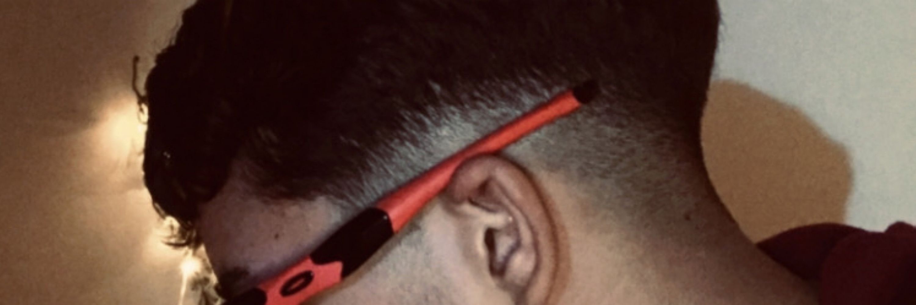 vlg_igs