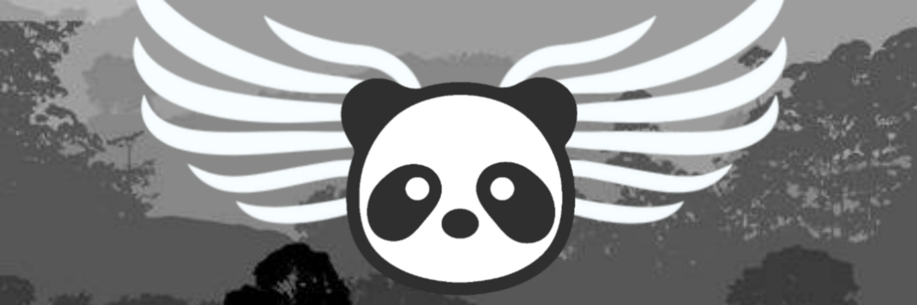 AngelPandaSpace