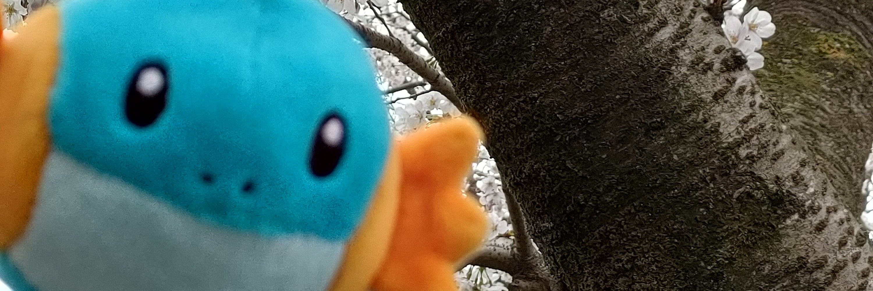 月詠瓏婀