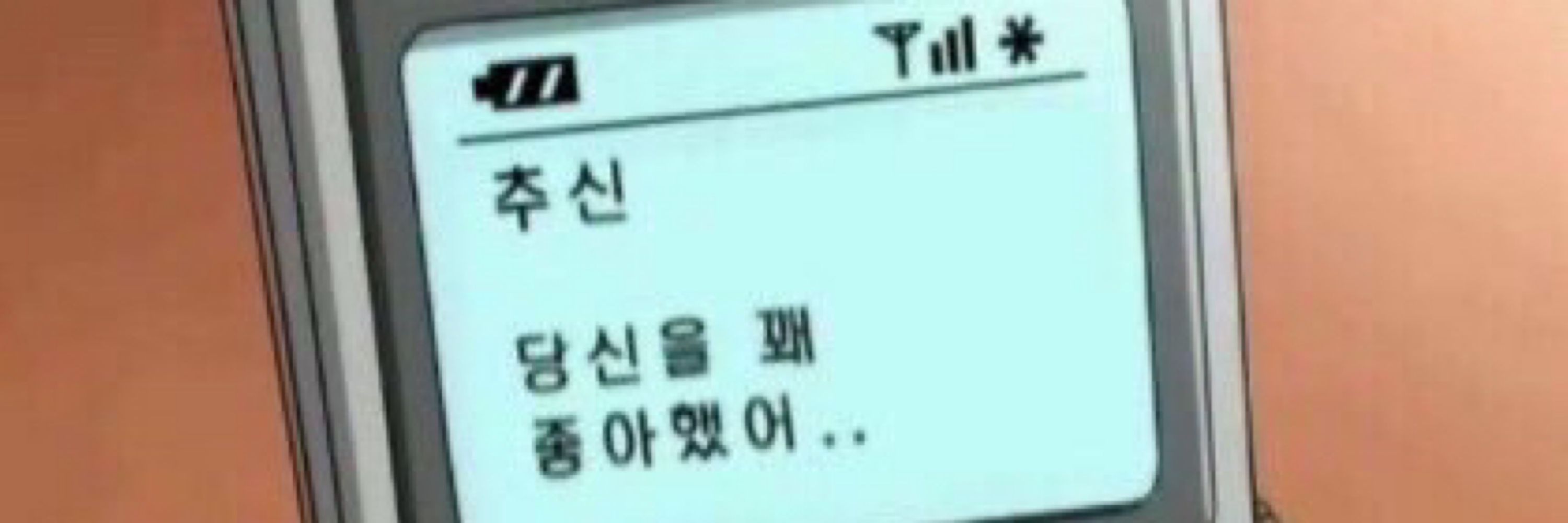 곰돌블🧸