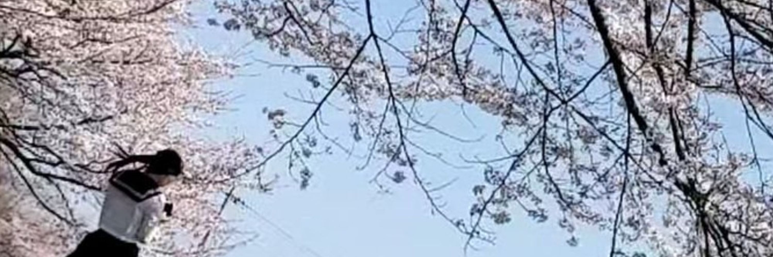 my&take@愛妻との変態日記