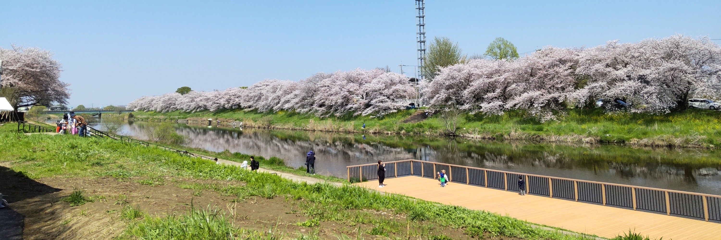 シークチキン
