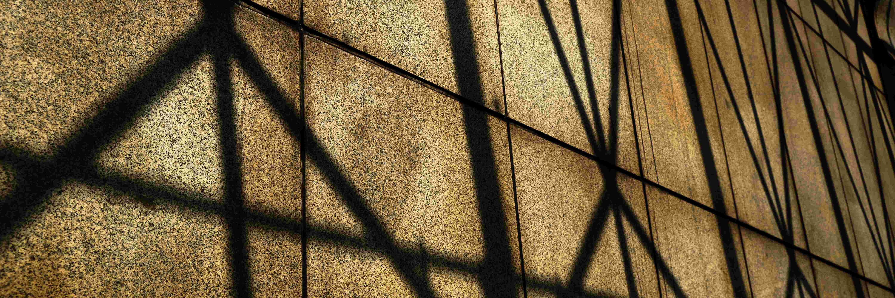 Daniel Meegan | Photographer