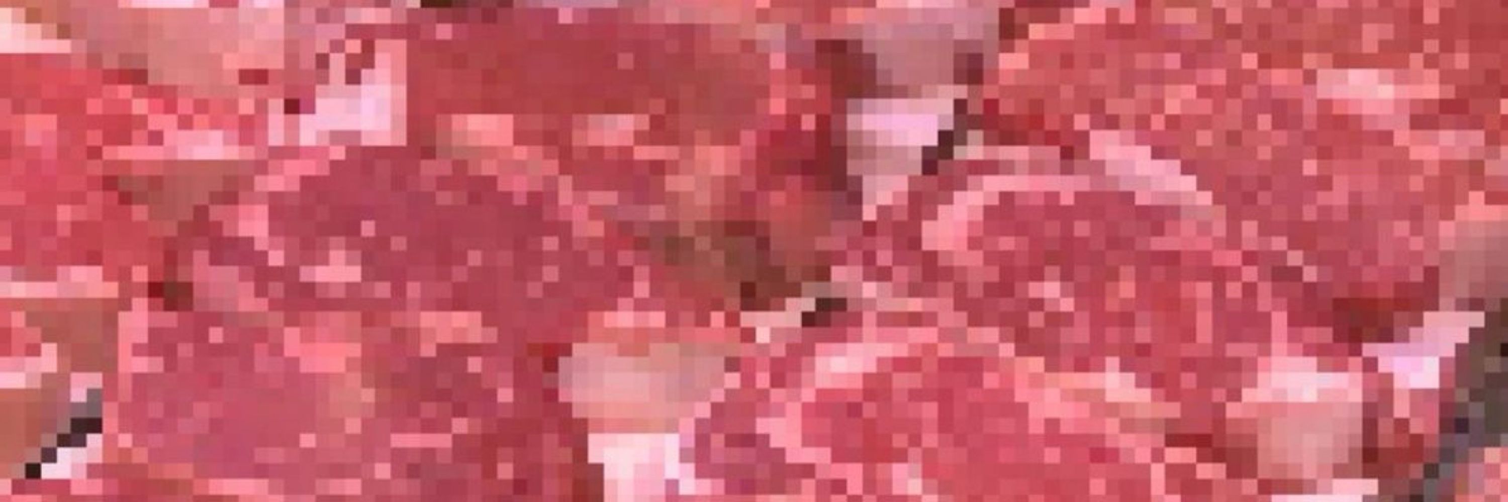 flopik
