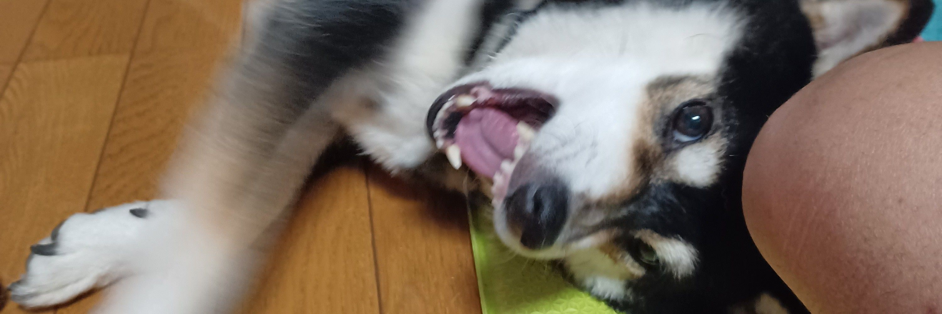 あーく
