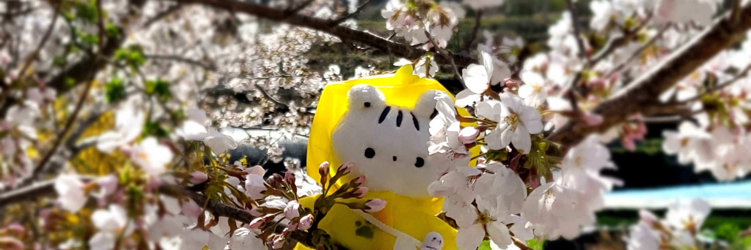 롭이