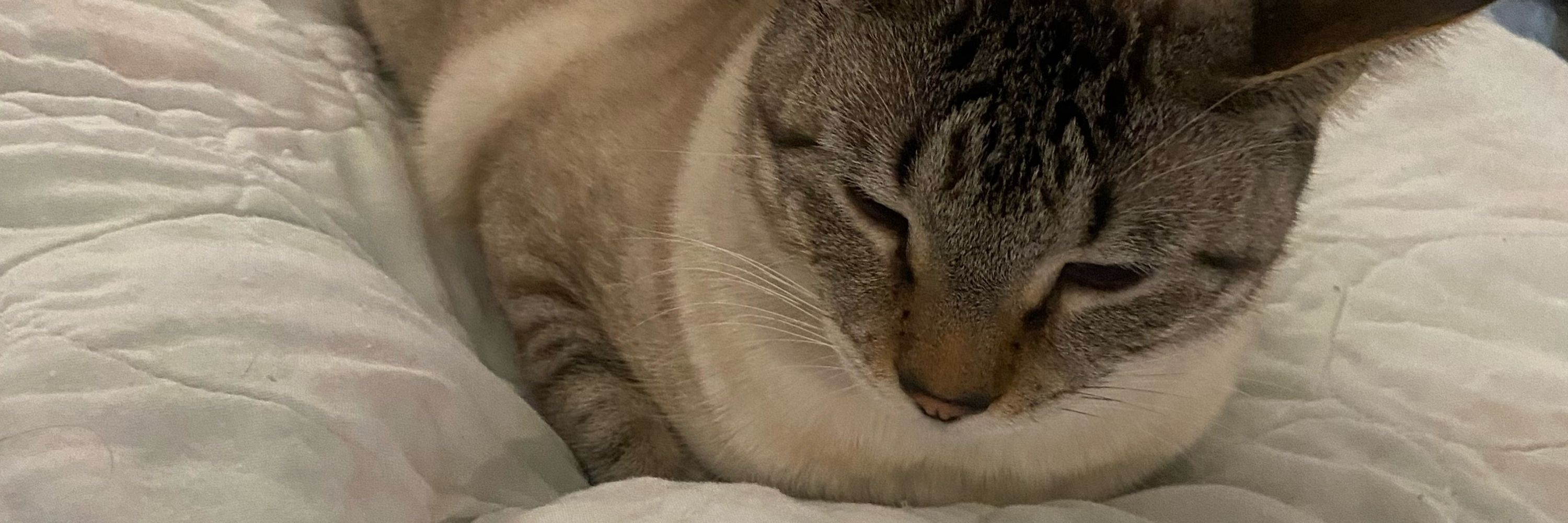:3