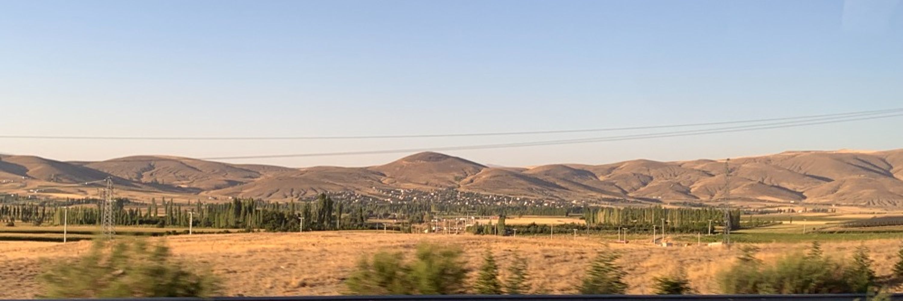Barış Can Sever 