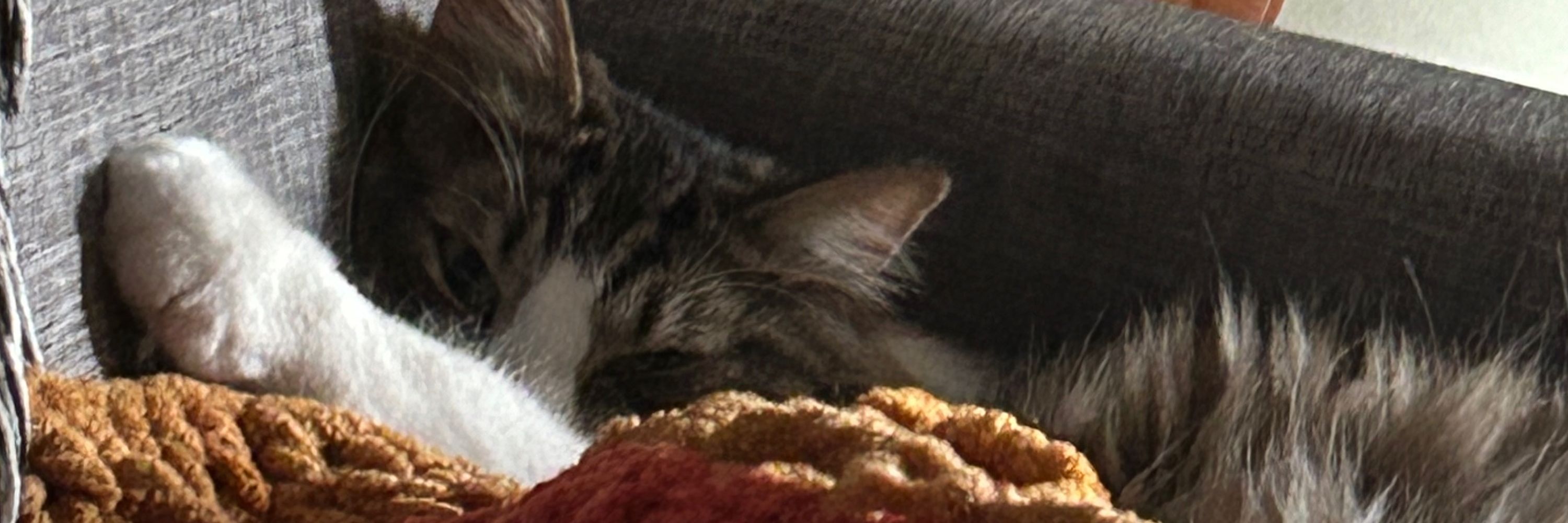 Sam