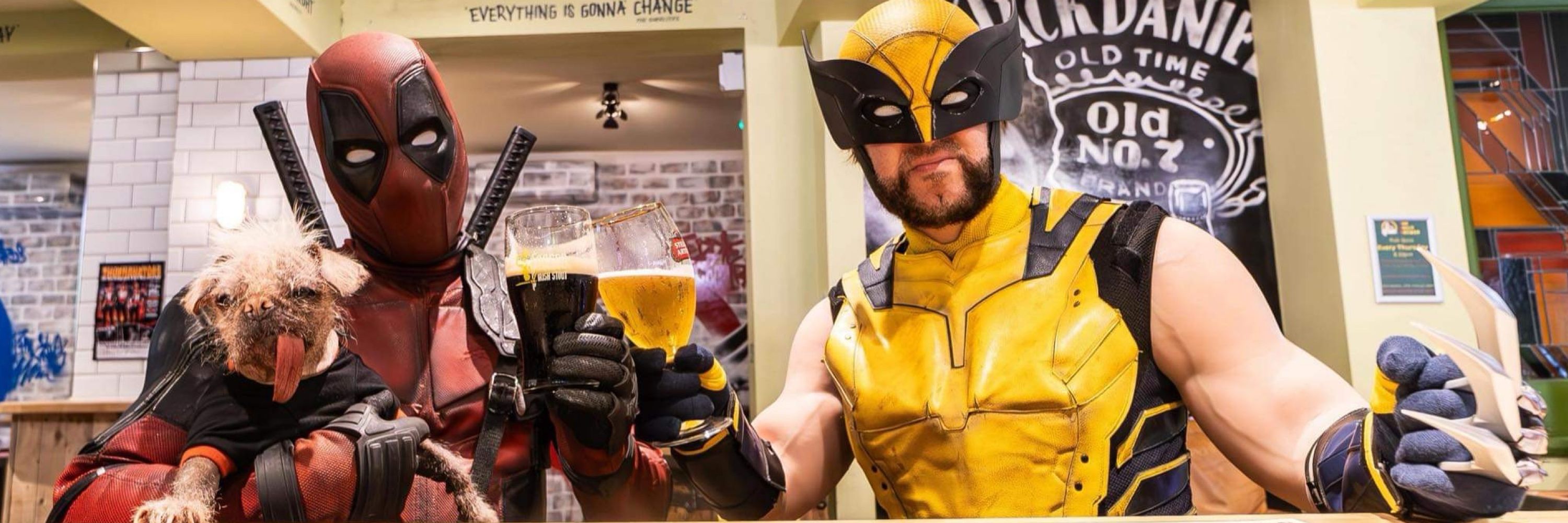 Wolversteve