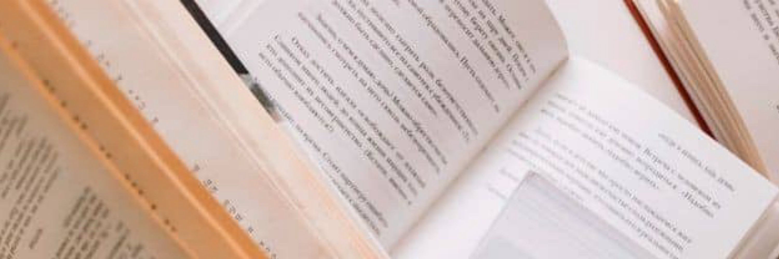 La chica del Pdf📚