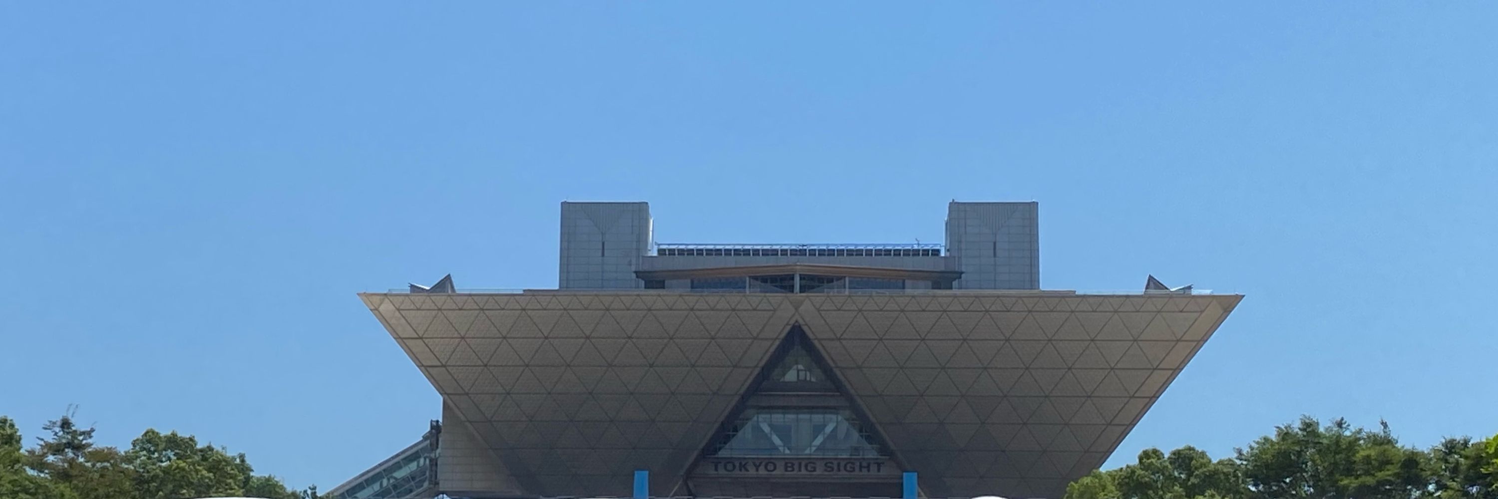 鴉隹