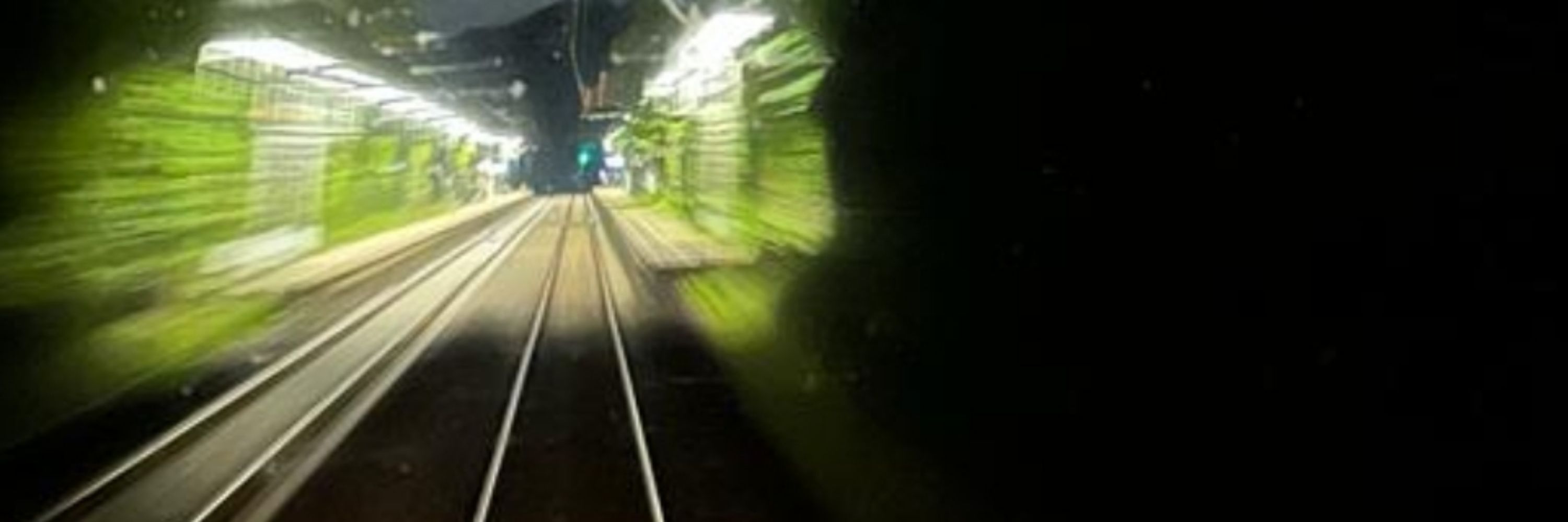 TrainDaddy