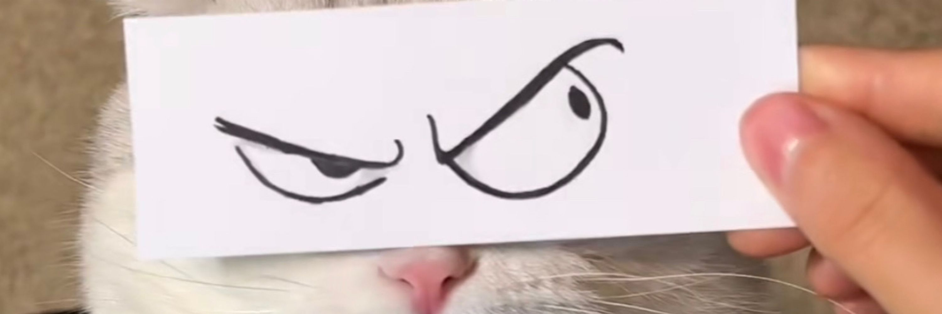 Тата Тратата