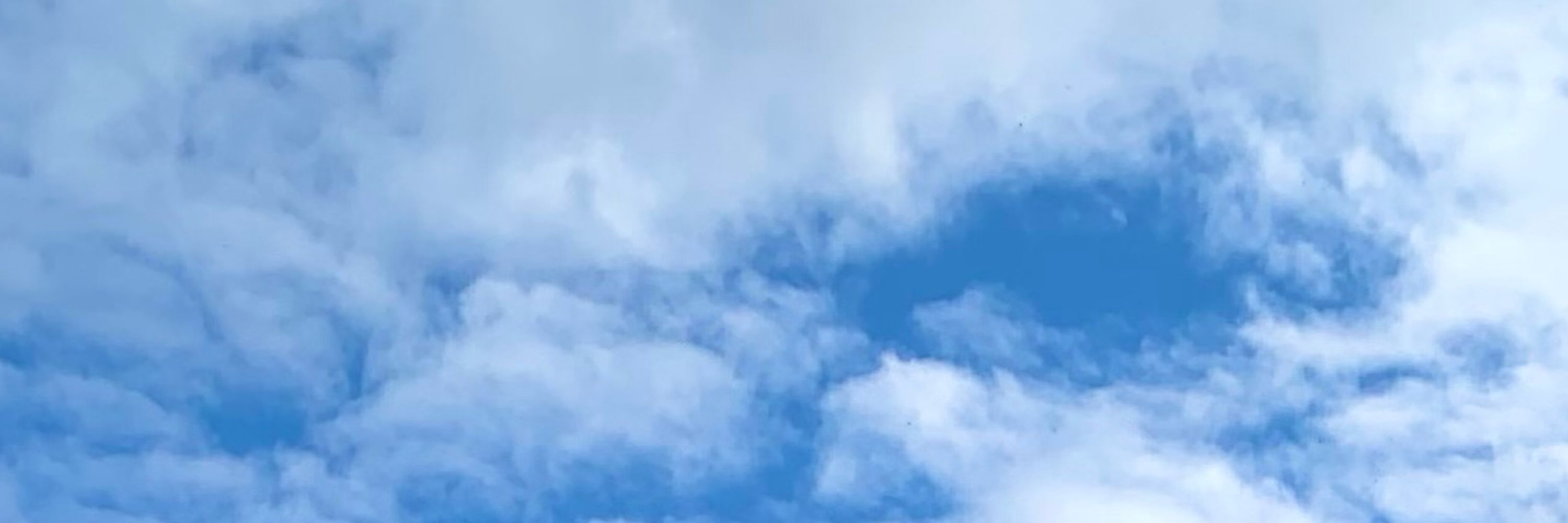 じゃっきー