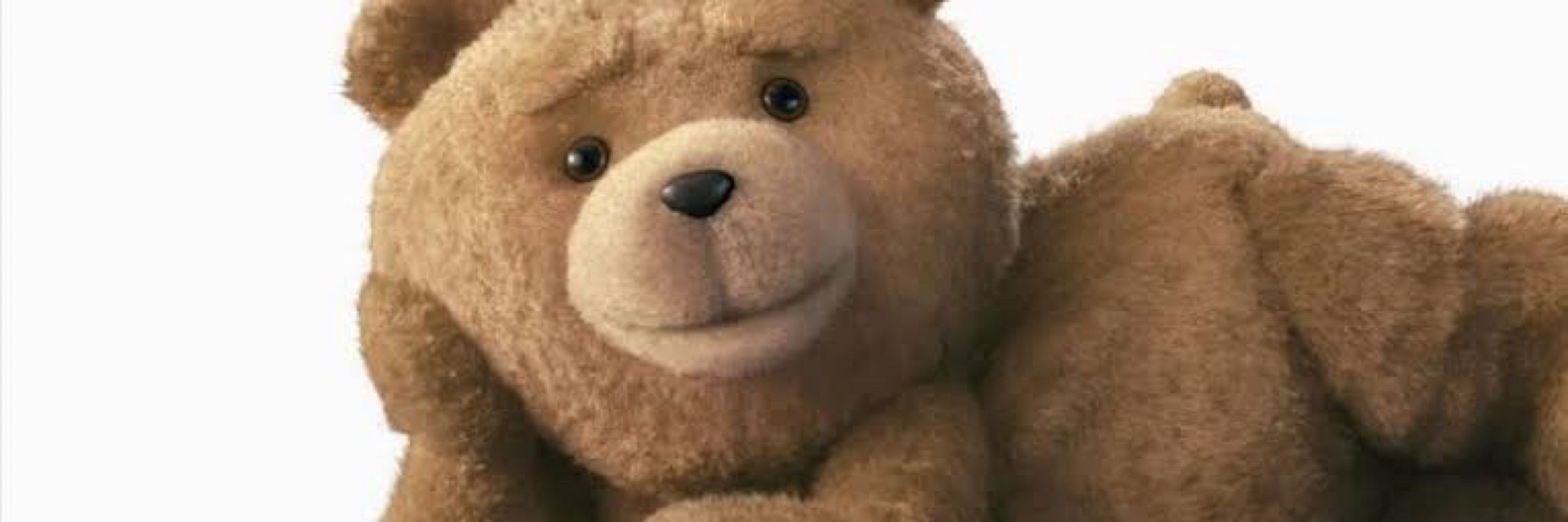 Urso Niteroi 🐻