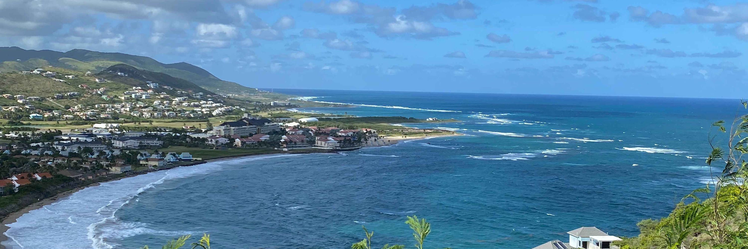 Raquel - Organized Island