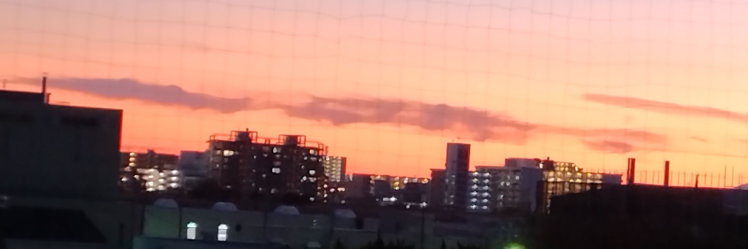 ささくれ