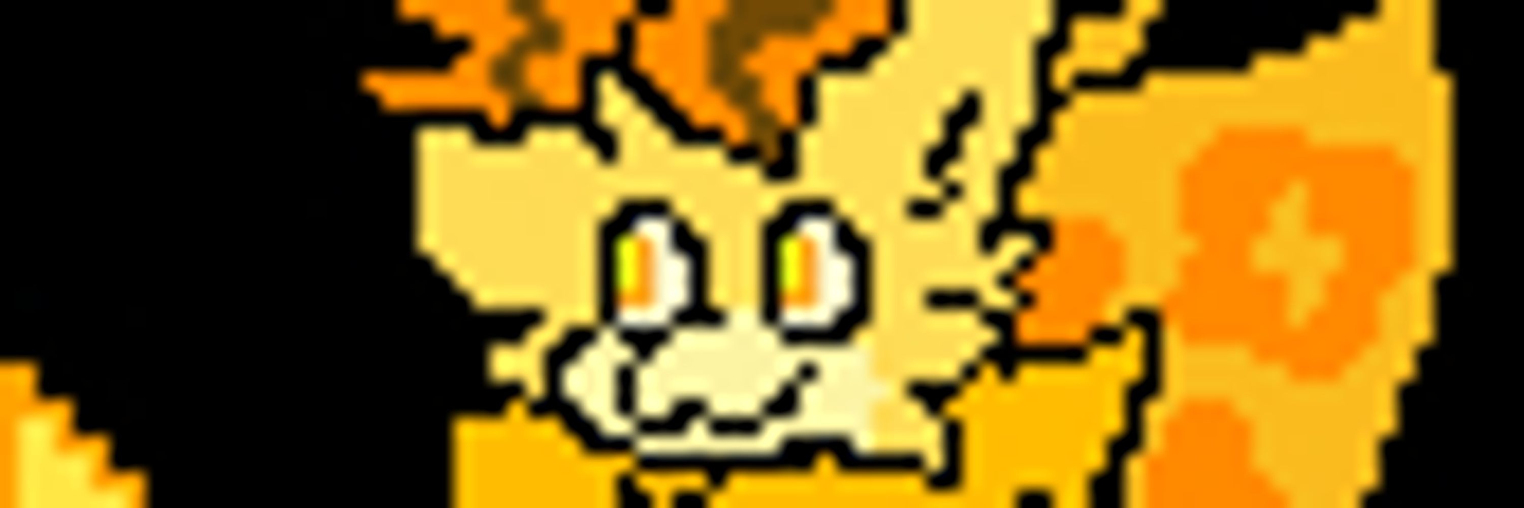 Rubocky Moth