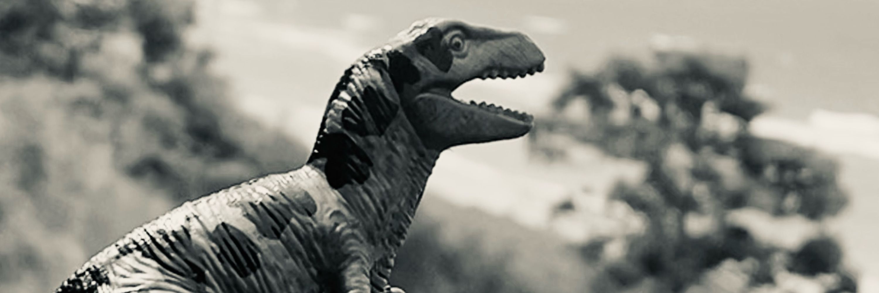 Derpisaurus Wrecks