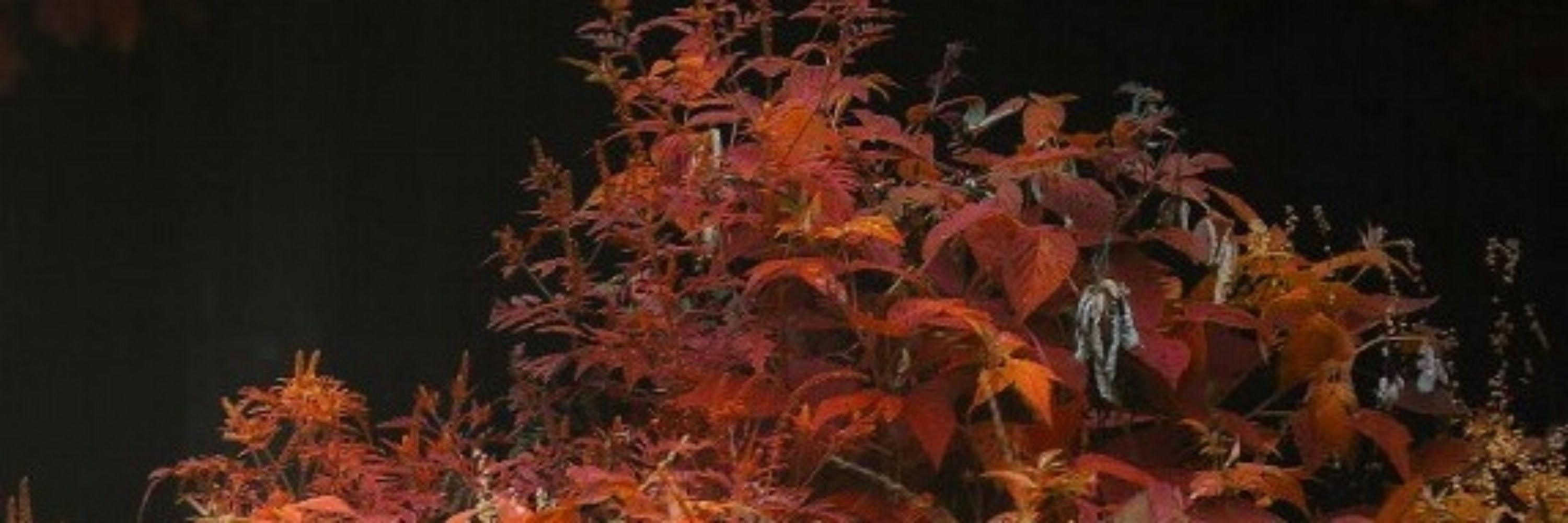 Arestos