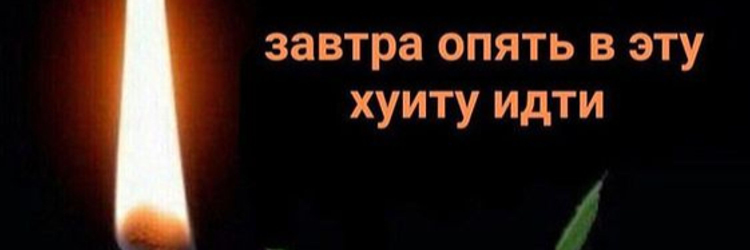 NESAM0NE
