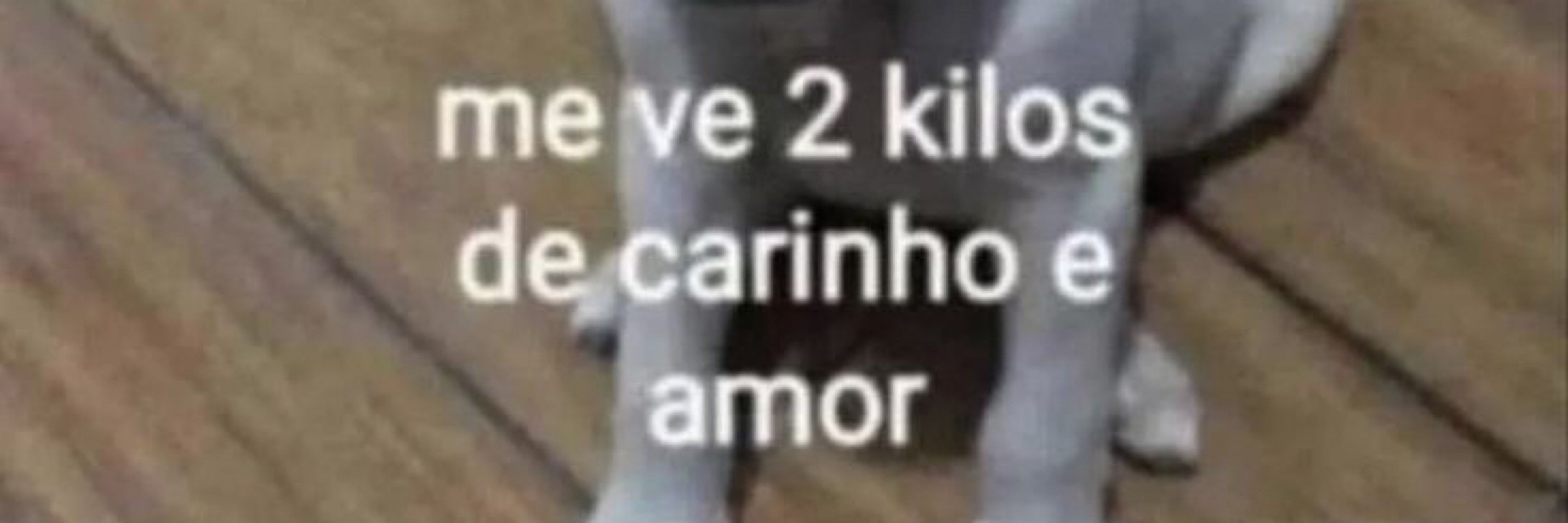 mim da silva 
