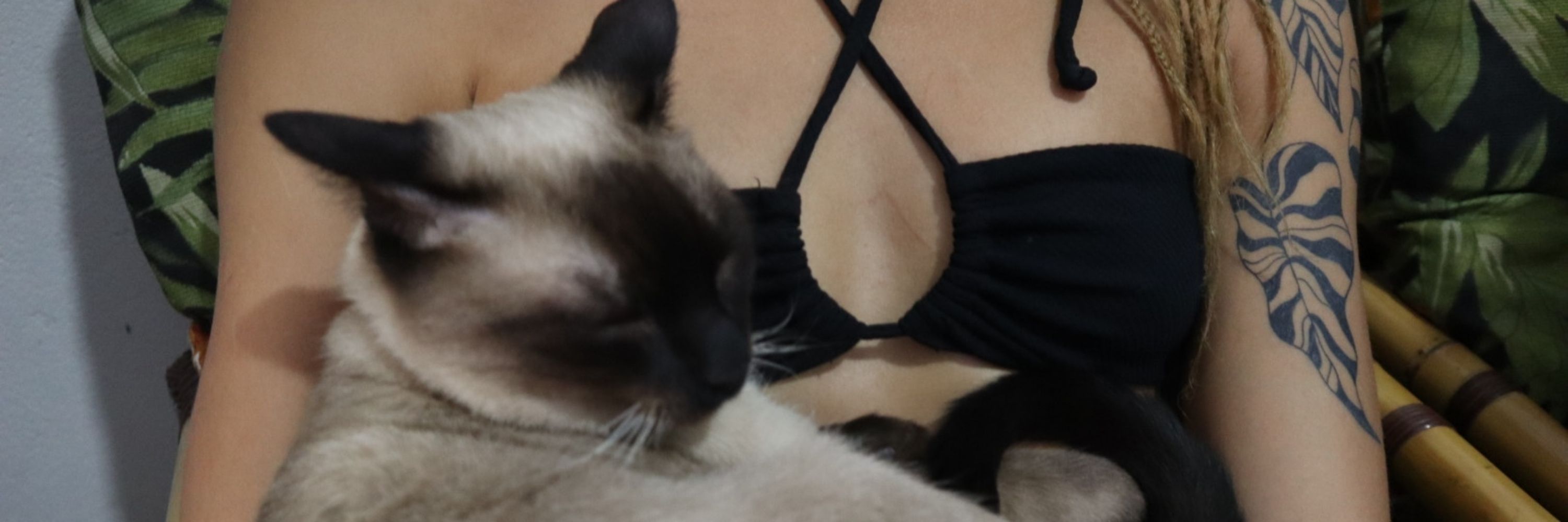 mão que roubou seu coração 