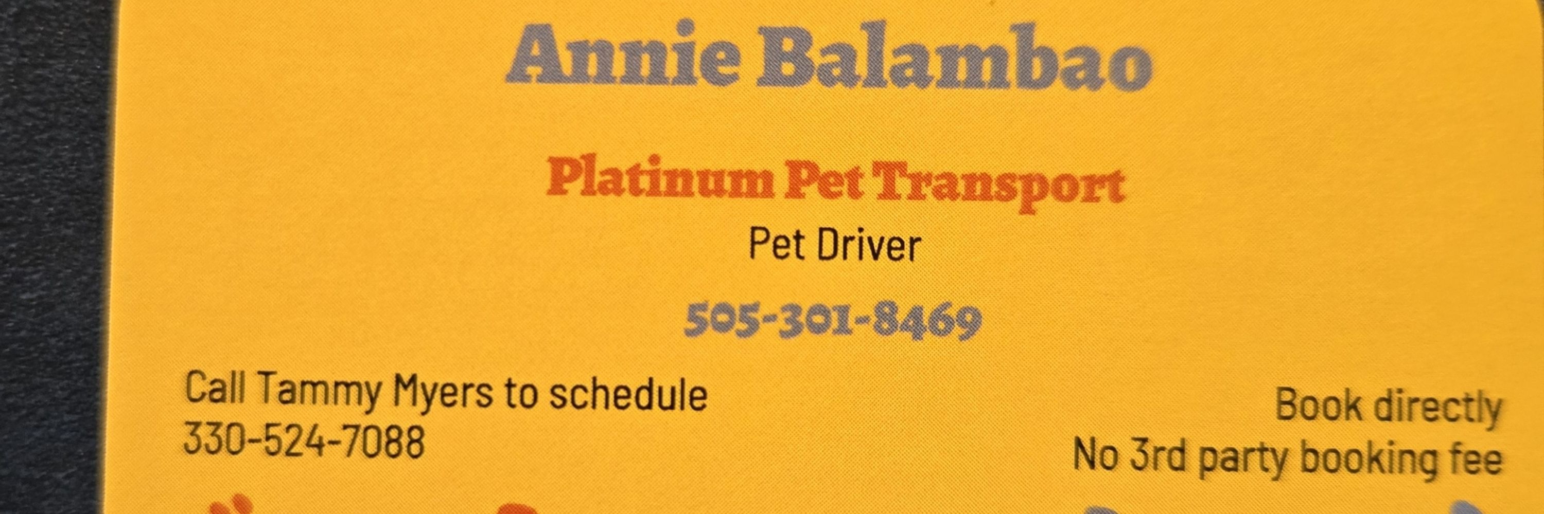 It's Me Annie