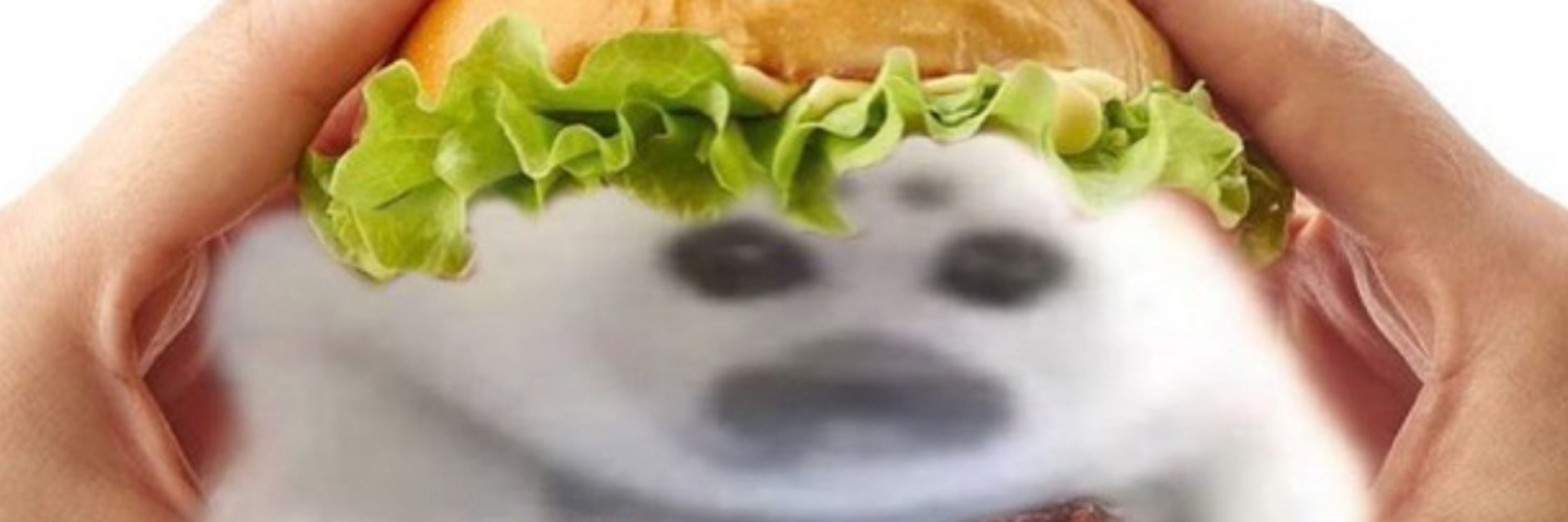beefpant 🥩