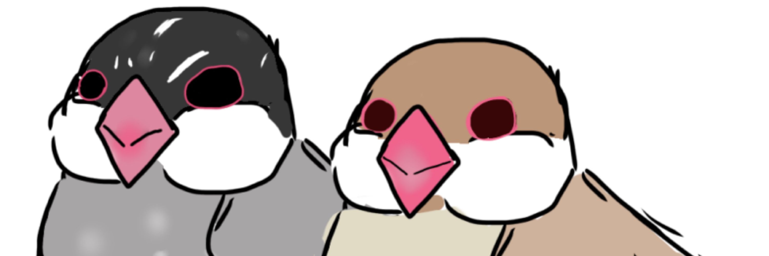 ピピタピ