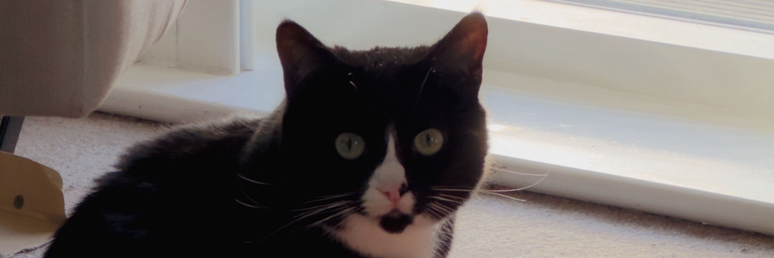 al