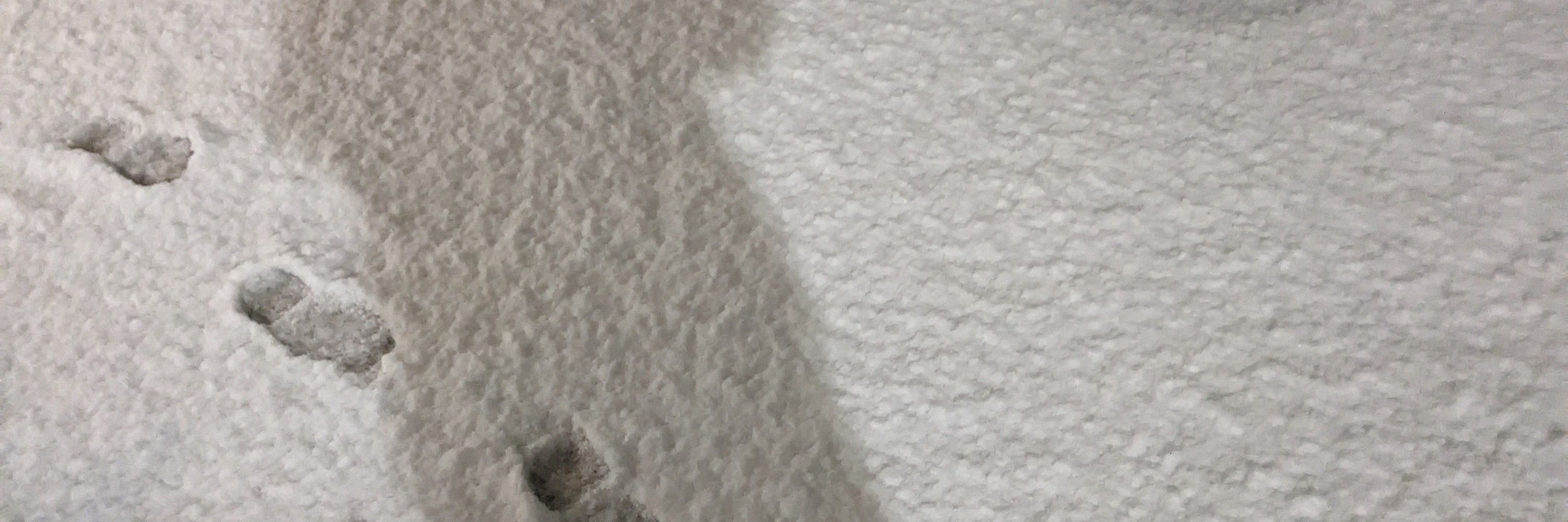 雨坂そら