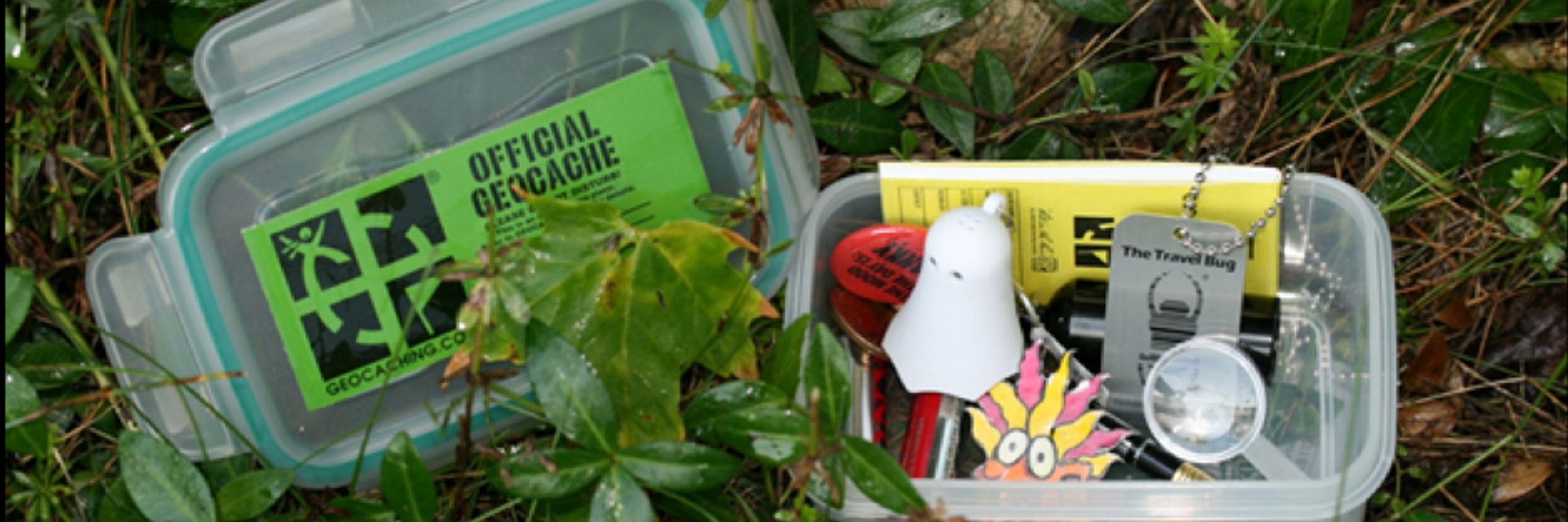 Dr Clive Shrubsole: Wainfleet Geocaching Network