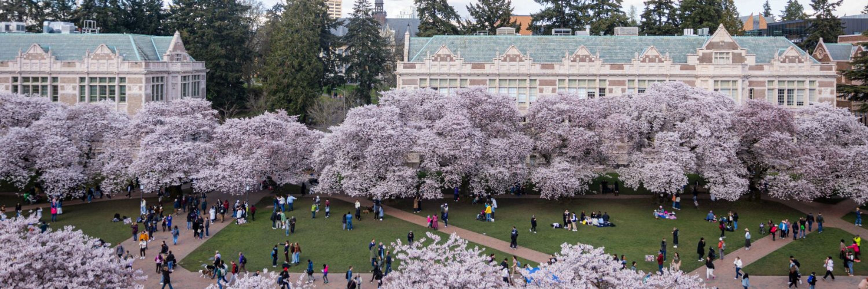 The Daily of the University of Washington