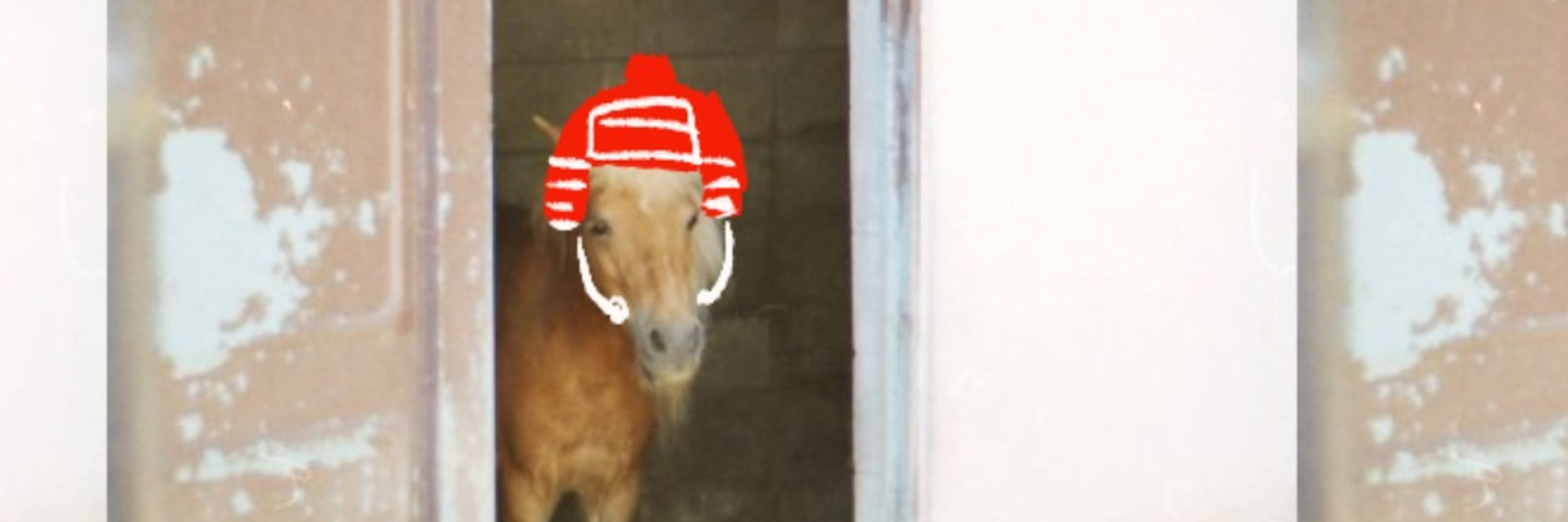 ohyapuru