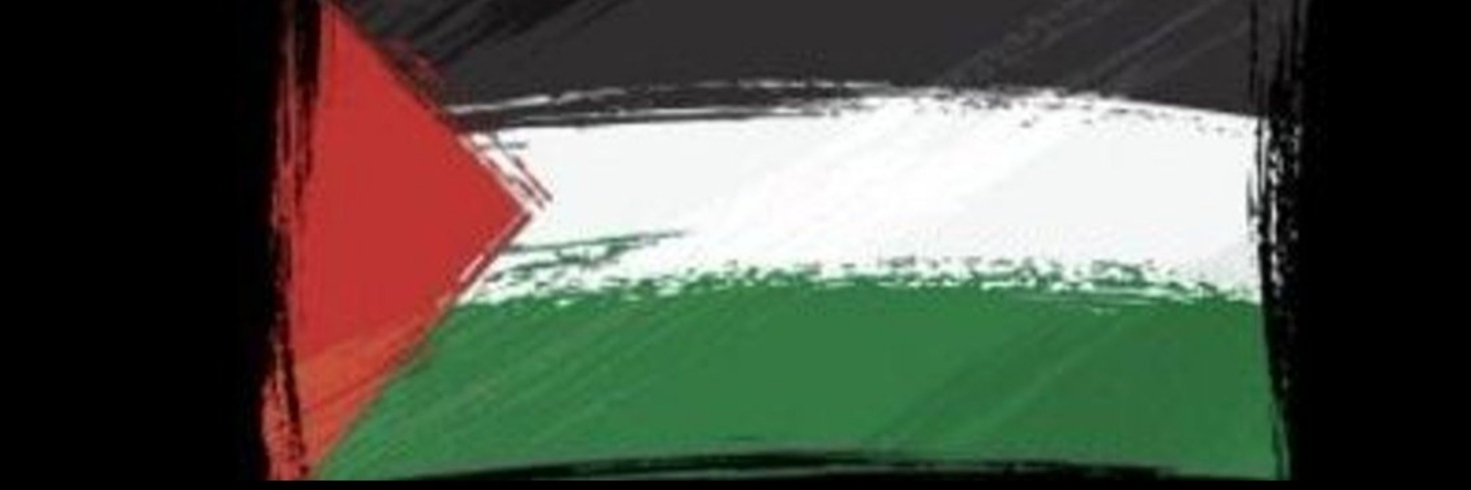 Starkletwink 🇵🇸