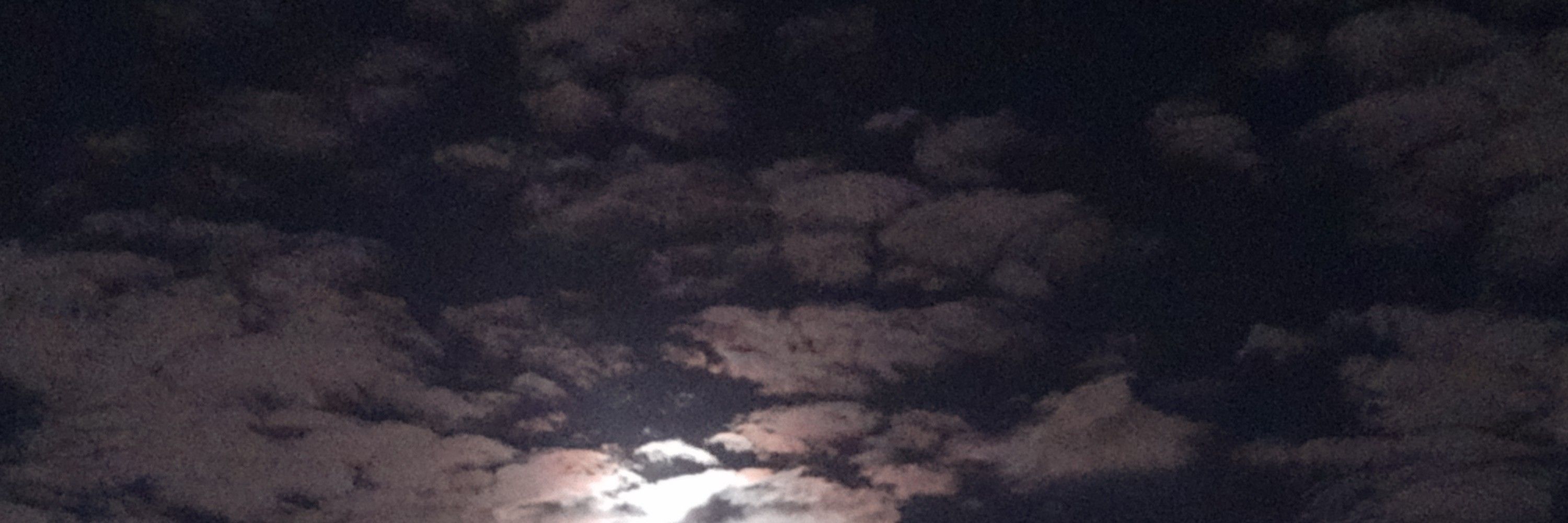 𝙻𝚢𝚊☁︎