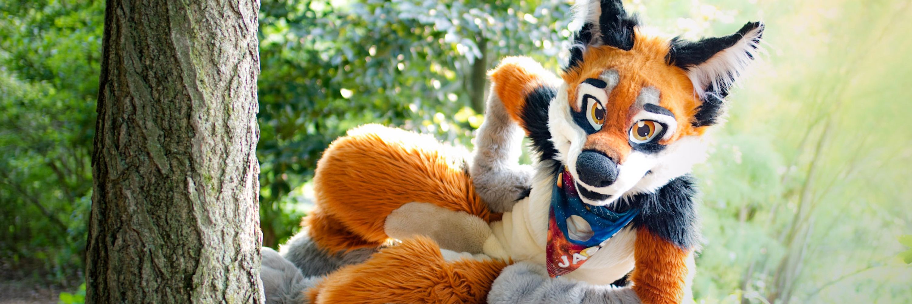 Jasper Jackal