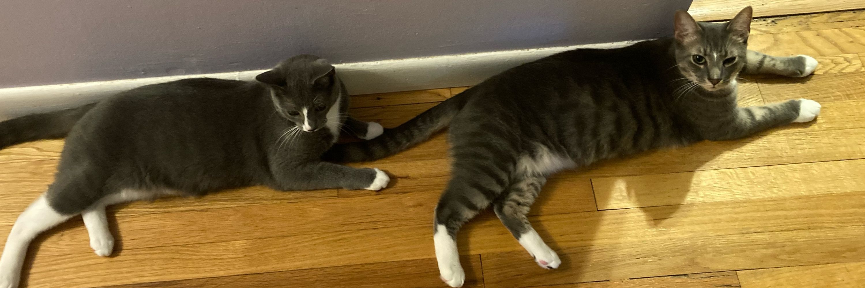 Waffle & Pancake