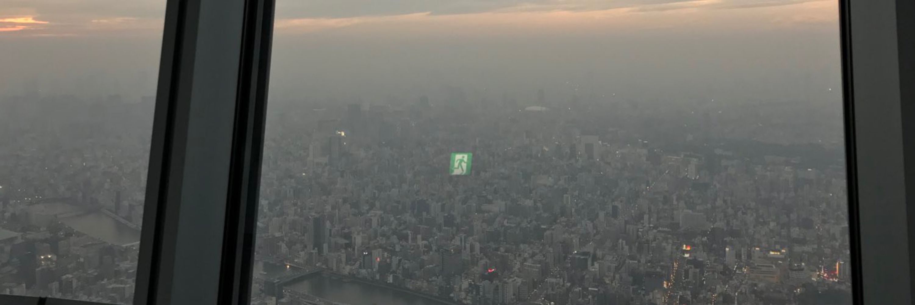 ピニェイロ アベウ
