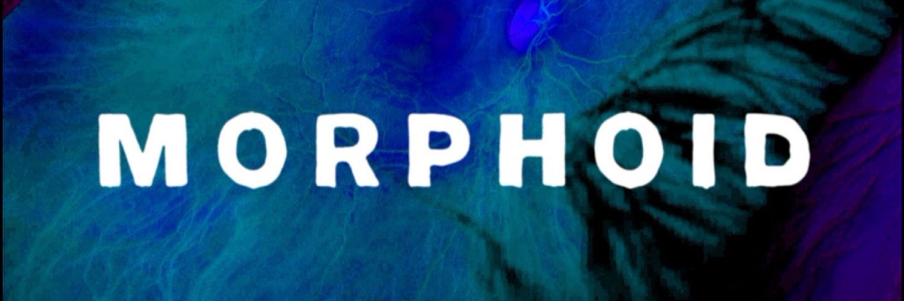 MORPHOID