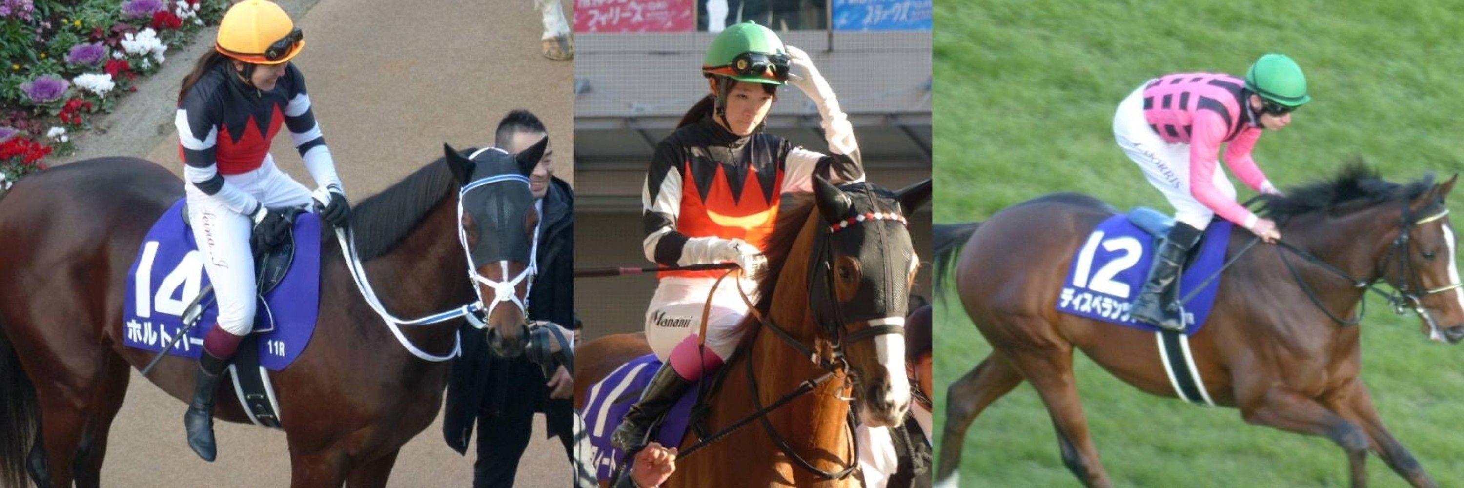 事奇跡(ﾌｼﾞｷｾｷ推しﾌｰﾃﾞﾘ配達員兼一口馬主)