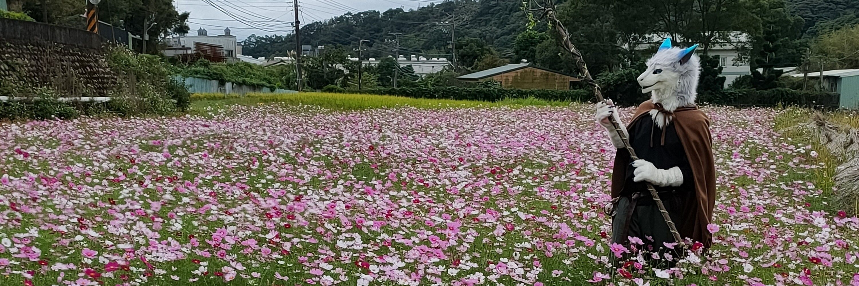 欸目