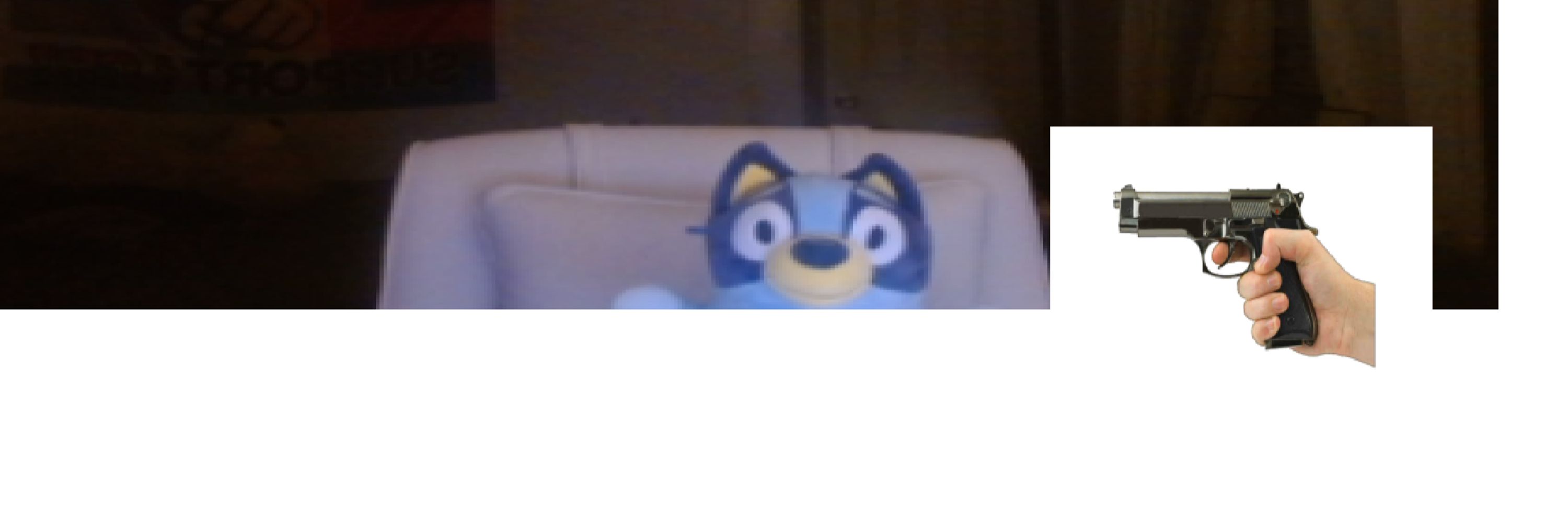 Aerothecat