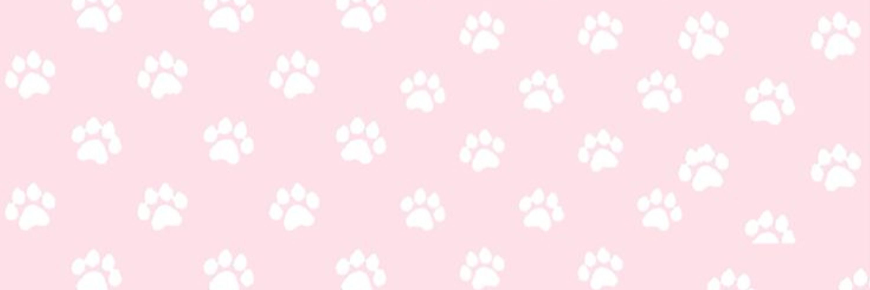 Lizzy Meow!